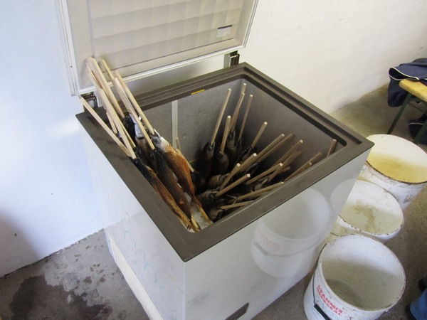karfreitagsgrillenimg_1651.jpg