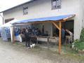 karfreitagsgrillenimg_1662.jpg