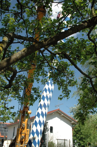 maibdsc_7190.jpg
