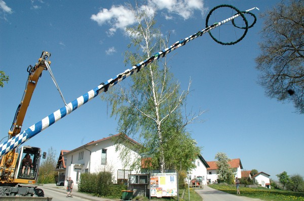 maibdsc_7193.jpg