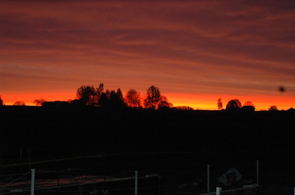 maibdsc_7213.jpg