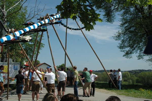 maibdsc_7232.jpg