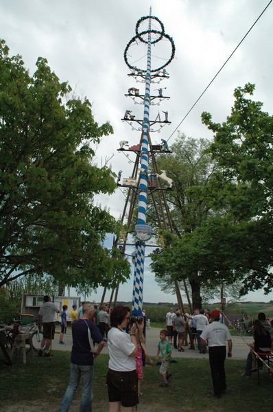 maibdsc_7268.jpg