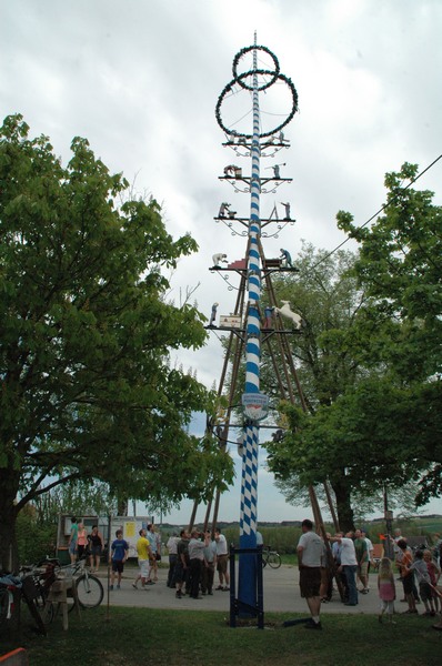 maibdsc_7273.jpg