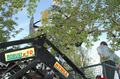 maibdsc_7174.jpg