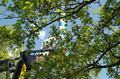 maibdsc_7187.jpg