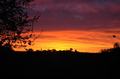 maibdsc_7220.jpg