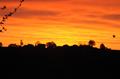 maibdsc_7222.jpg