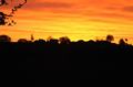 maibdsc_7223.jpg