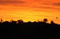 maibdsc_7224.jpg