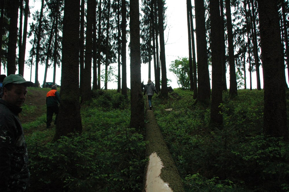 dsc_8576.jpg