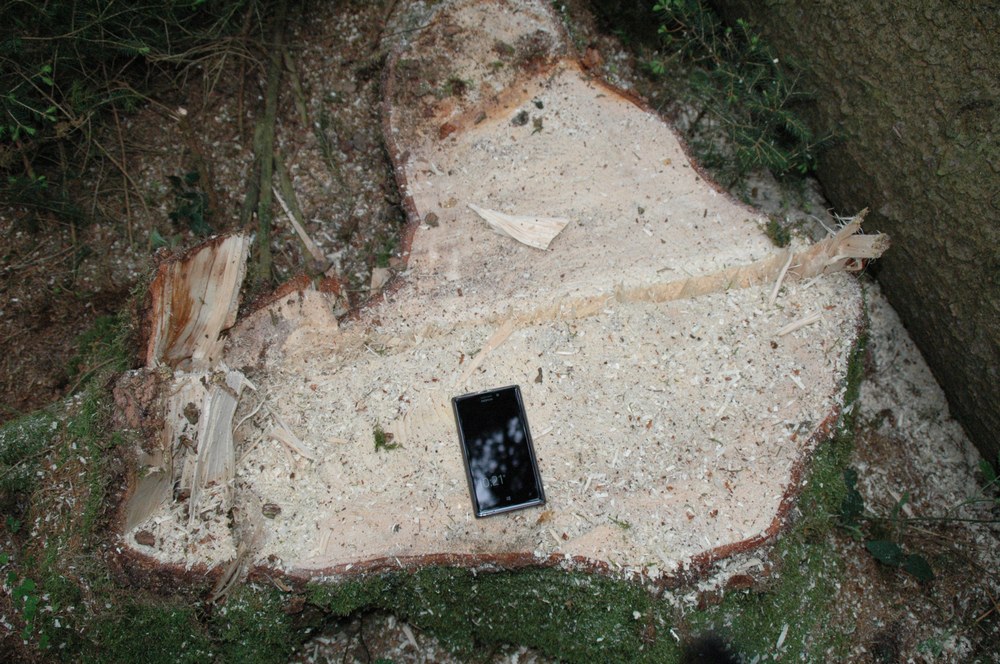 dsc_8586.jpg