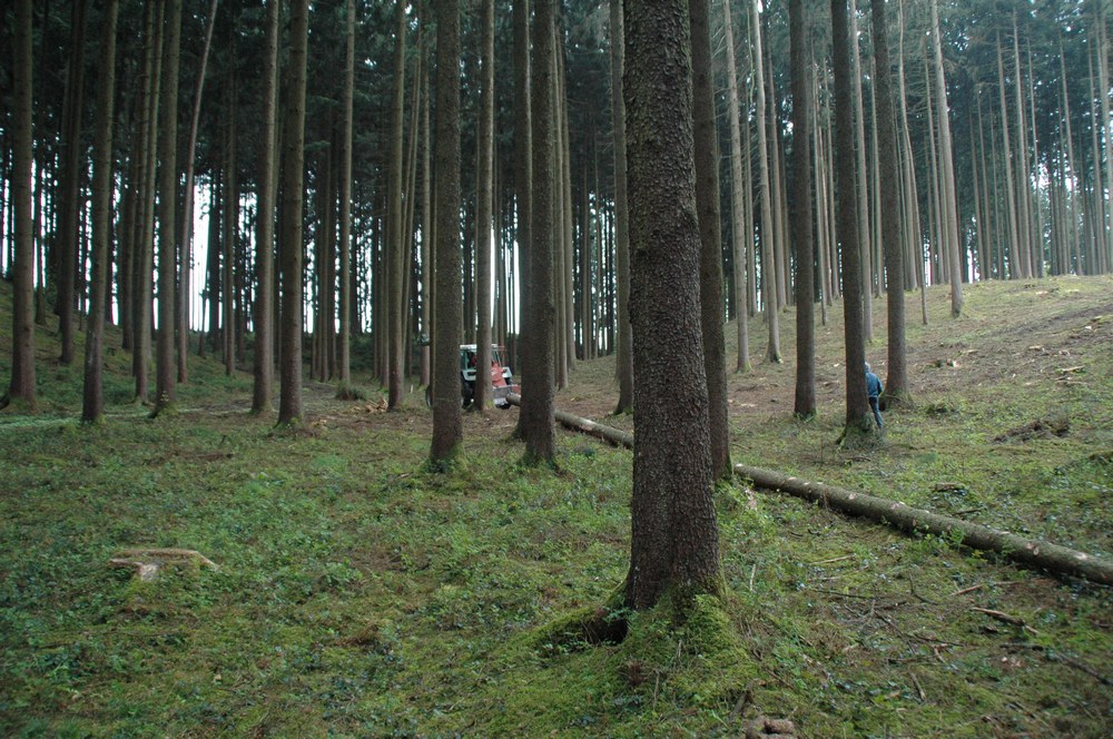 dsc_8599.jpg