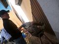 p1070292.jpg