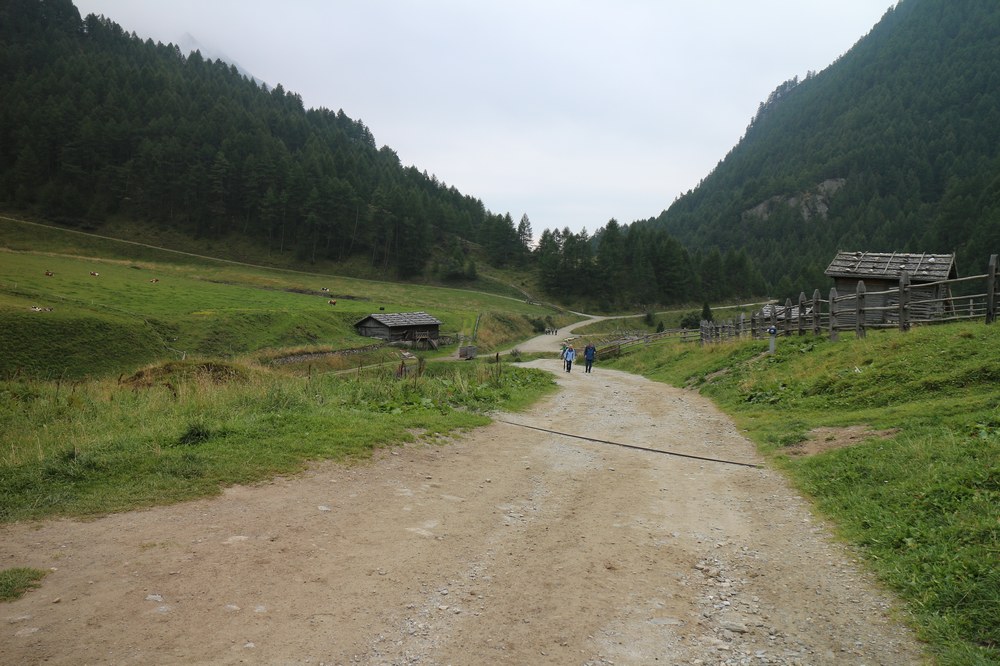 img_5545.jpg