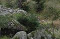 dsc_9070.jpg
