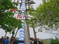 img_4290.jpg