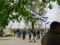 img_4293.jpg
