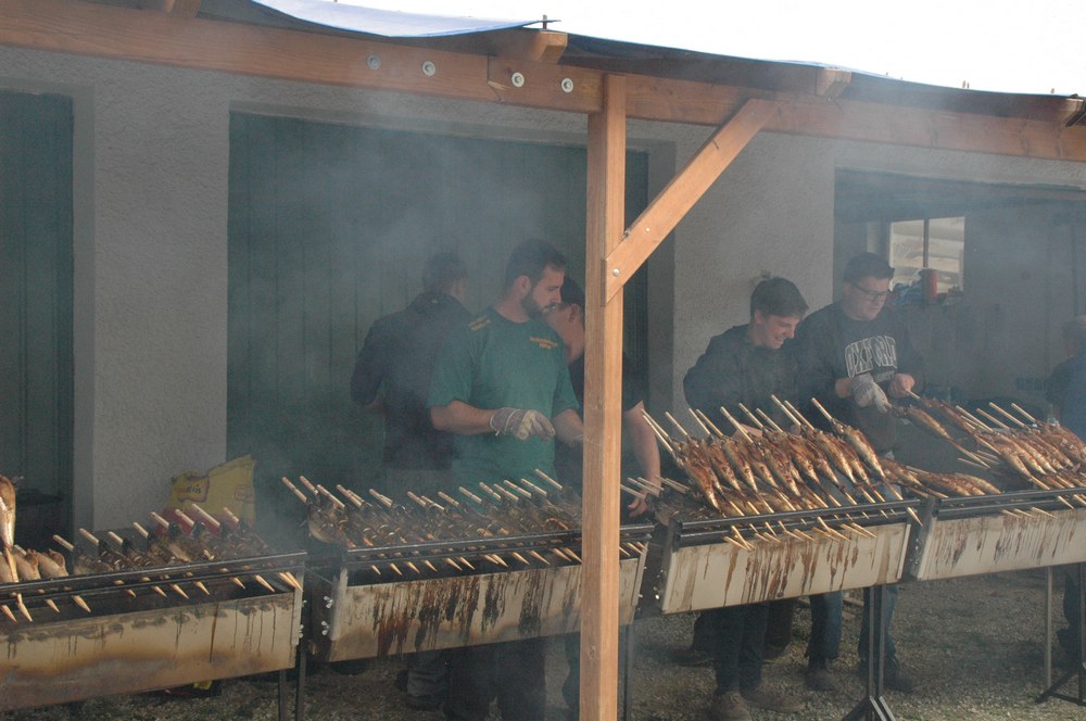 dsc_9437.jpg
