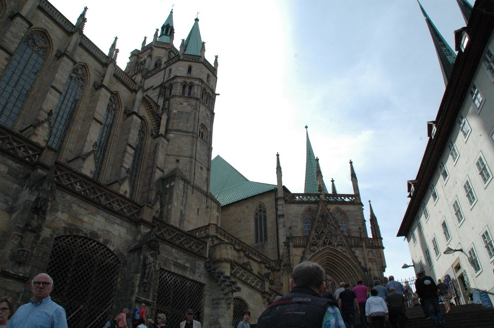 dsc_0229.jpg