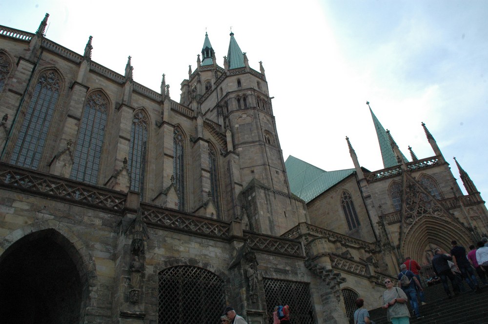 dsc_0230.jpg