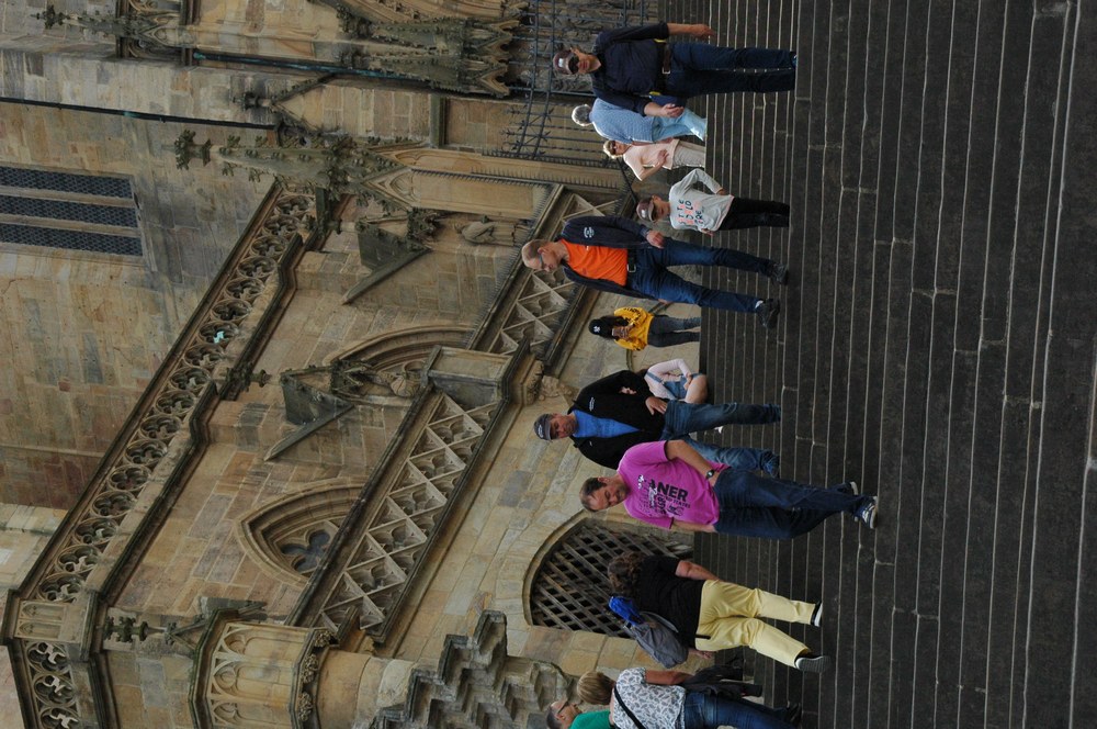 dsc_0239.jpg