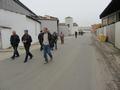 maibimg_0220.jpg